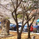 천년태권도체육관 이미지