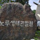 제주 1년 살기 일상[43] ; 노루생태관찰원 이미지