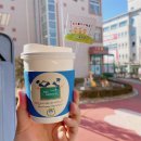 경포유치원 이미지