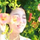 인셀덤 나래 네이버블로그