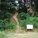 연안부부인전씨묘 이미지