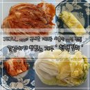 제주 한백김치 국내산 재료를 사용한 30년 전통 실비김치, 배추김치, 백김치 내돈내산 리뷰