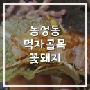 UR(광주광역시)-[월산로]-상-24 | 농성동 먹자골목에 제일 인기있던 꽃돼지