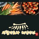 [금정구평생학습관] 생활약초와 체질약선 이미지