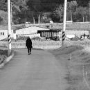 지방도863호 이미지