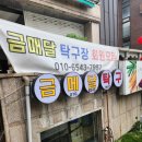 금메달탁구장
