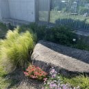 클리프스테이 | 울산 울주군 캠핑도 가능한 프라이빗 한 독채펜션 온더클리프(On The Cliff)