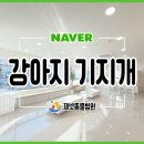 부산동물병원 제넷 이미지