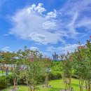 보라매공원 이미지