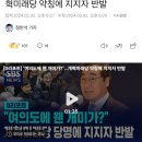 [D리포트] "여의도에 웬 개미가?"…개혁미래당 약칭에 지지자 반발 이미지