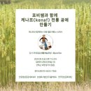 케나프힐링 네이버블로그