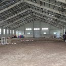 말보르승마장 이미지