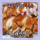배선생