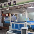 문희 | 부산 명지 맛집] 6월 말에 즐기는 도다리 세꼬시! 양과 맛에 반한 명지시장 '문희횟집' 내돈내산 찐 후기 🐟