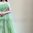 찬스컴퍼니 | 웨딩 기록&gt; 대전 웨딩컴퍼니엘 그레이스케일|스튜디오...e마이웨딩 연계 혜택|임산부 드레스|후기|준비물