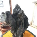 수석전시관 이미지