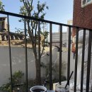 다미농장 | 25, 11월 / 우.행.시