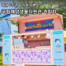 서천-9 | 충남 서천 국립해양생물자원관 9주년 커피차행사 후기