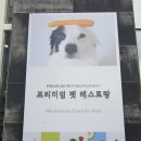 포지티브 보울 이미지