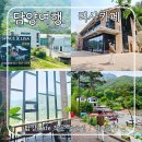 NJ펜션 | 담양여행 담양 힐링가득 숲속 리사cafe 작은동물원&amp;펜션