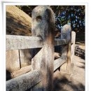 박석오행정사 | 북천(北川, 알천) 범란(汎瀾)으로 왕이 된 원성왕과 능(元聖王陵)