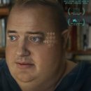 웨일 카카오 검색결과