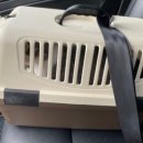 바스텟고양이병원 이미지