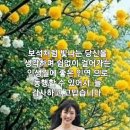 A-17 이미지
