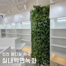 메디칼약국 | 실내벽면녹화, 기둥 벽체조경 설치사례! 인천 메디컬 약국 진열장 사이 연출!