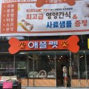애플펫 | 애플펫/송파구애견/애견호텔/애견미용
