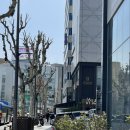 모노포레스트 이미지