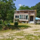 금산식당 이미지