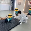 용인대 매화태권도 이미지