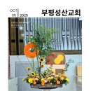 성산교회 이미지