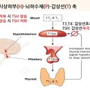 (주)엘스케이