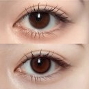 오렌즈 | 라섹 후 렌즈 다시끼는 사람의 리뷰 :: 개눈 안되는 직경 오렌즈/ 렌시스 후기