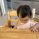 [제주도]8개월 아기와 제주도 여행 2일차(더클리프, 테디베어뮤지엄, 욜다)