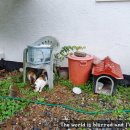 구텐베르크펜션 이미지