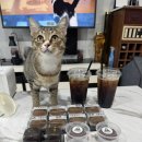 가을앤럭키 | 평택 두쫀쿠 비교,구매 꿀팁 빵과당신/무소 평택/가을앤럭키/백희제과