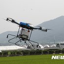 안나파크 이미지