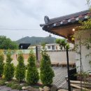 원동달팽이 이미지