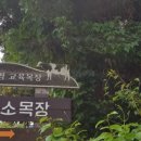 불빛목장 이미지