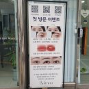대전 갈마동 남자눈썹컨설팅 잘 하는 곳 벨모아뷰티 다녀왔어요
