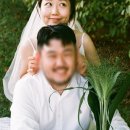 인세미
