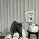 수원떡방아
