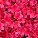 낭독샤워 이미지