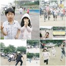 해솔캠핑장 이미지