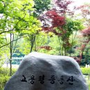 오떡케 이미지