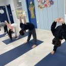 요가 B반 이미지