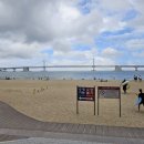 금돈농장 | 광안리 오션뷰 맛집 육즙이 가득했던 돈군 후기